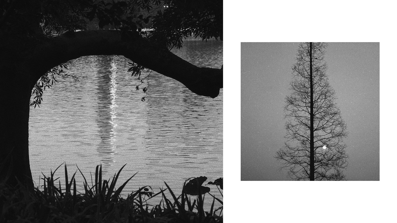 The Distance of Things