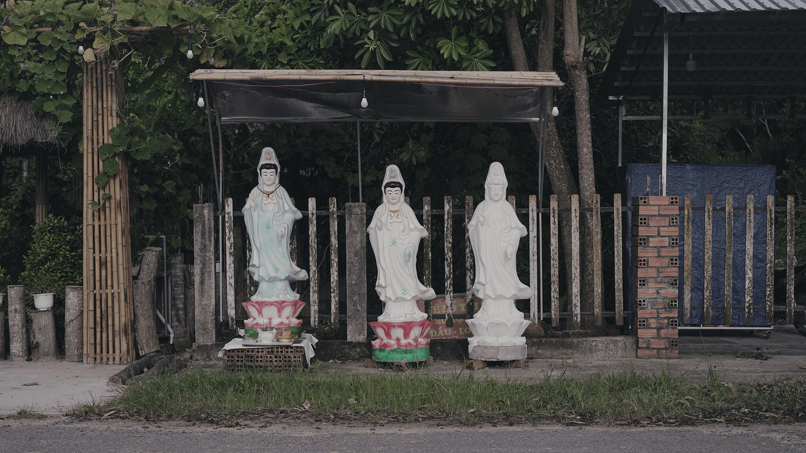 Return to the Damp Place